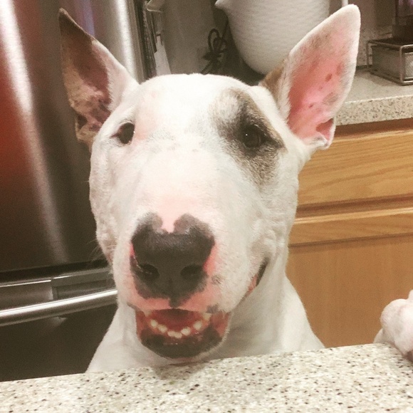 @sfgiants_fan closet - Picture 9 of 14